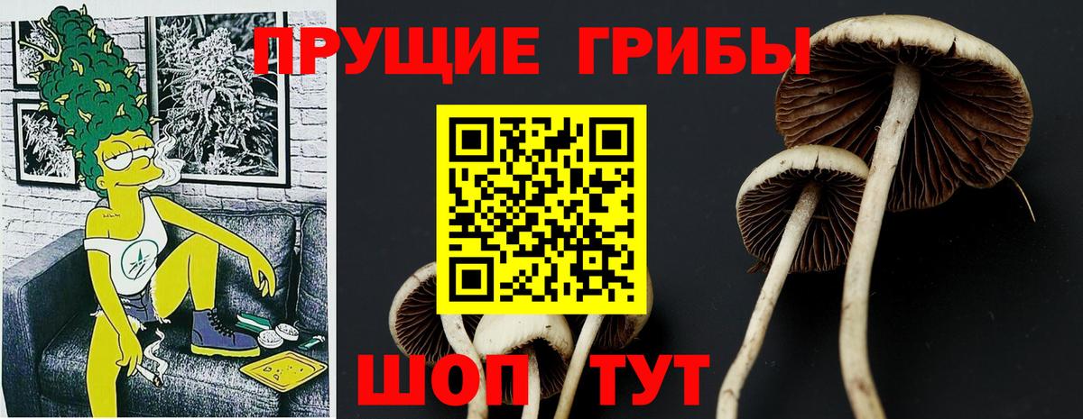 Псилоцибиновые грибы прущие грибы  Вход с VPN  Майский  Галлюциногенные грибы GOLDEN TEACHER 